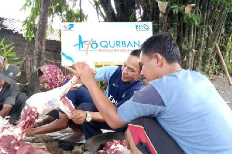 Dokumentasi Penyembelihan Qurban