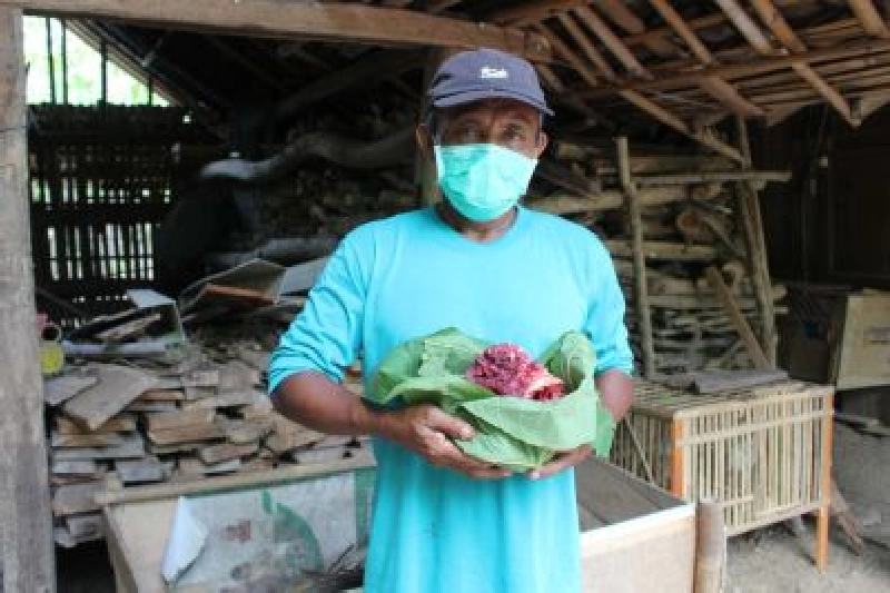 Dokumentasi Penyembelihan Qurban