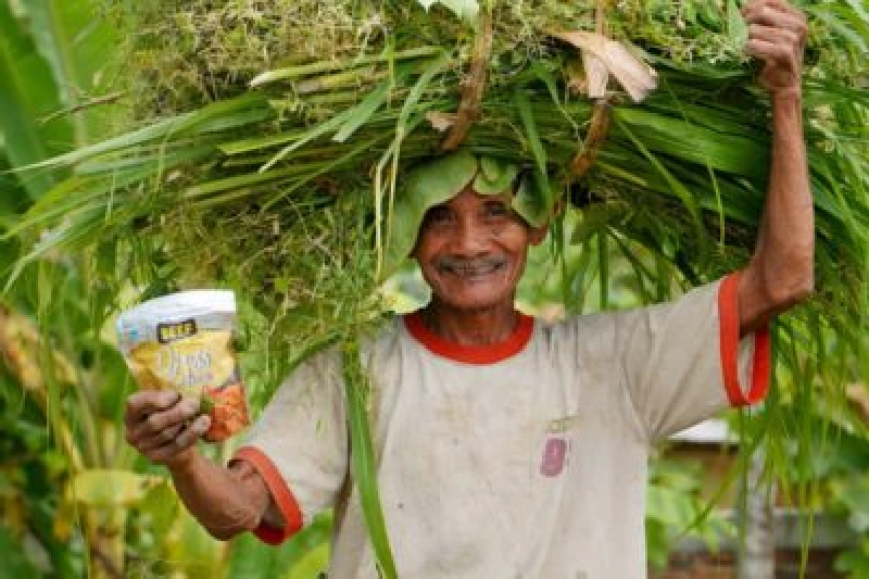 Dokumentasi Penyembelihan Qurban