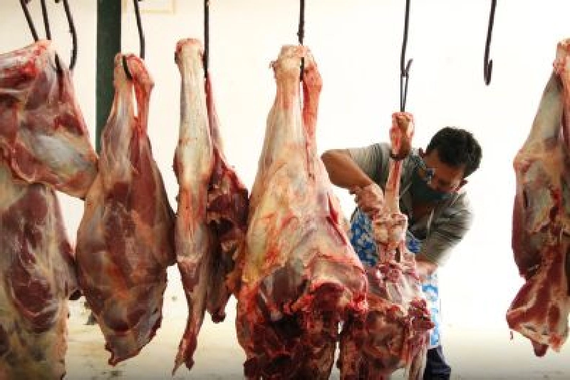 Dokumentasi Penyembelihan Qurban