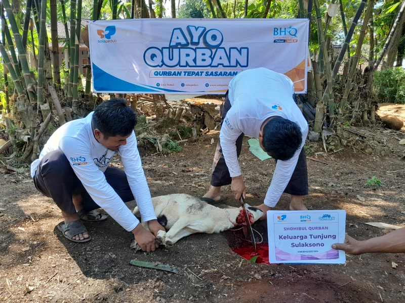 Dokumentasi Penyembelihan Qurban