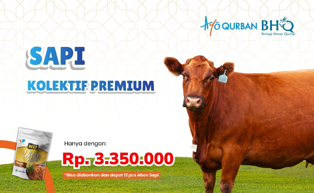 SAPI KOLEKTIF PREMIUM